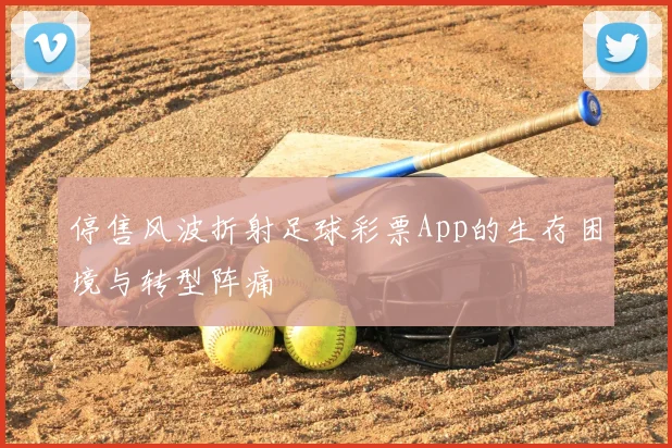 停售风波折射足球彩票App的生存困境与转型阵痛