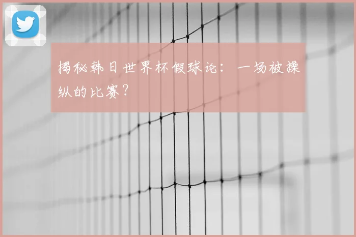 揭秘韩日世界杯假球论:一场被操纵的比赛?